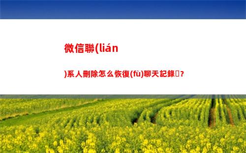 微信聯(lián)系人刪除怎么恢復(fù)聊天記錄？(微信聯(lián)系人恢復(fù)免費版)